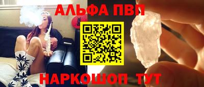 гашик Будённовск