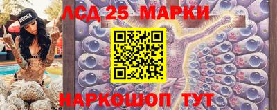 гашик Будённовск