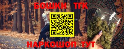 гашик Будённовск