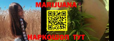 гашик Будённовск