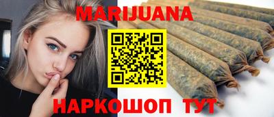 гашик Будённовск