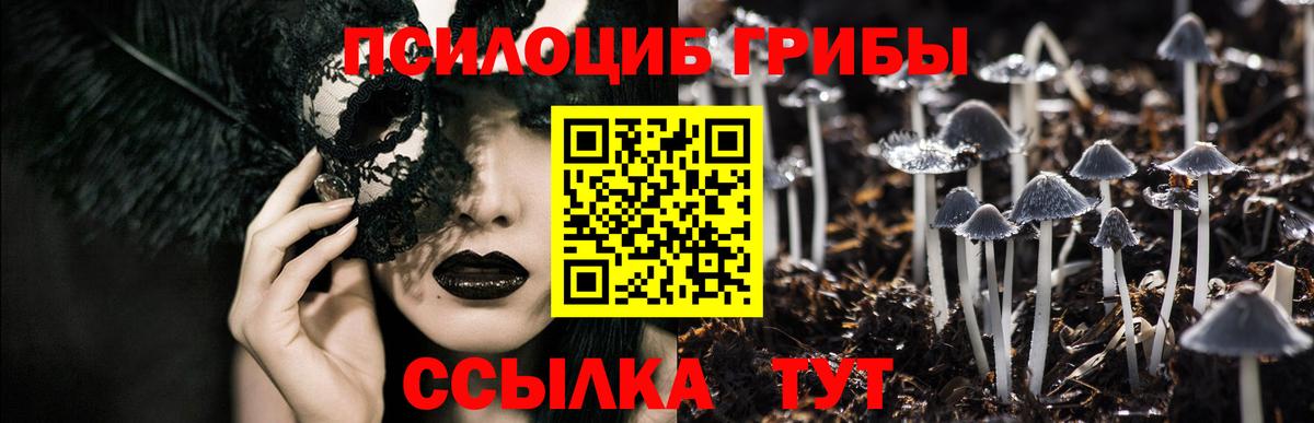 Галлюциногенные грибы Magic Shrooms  Вход с VPN  магазин  наркотиков  Томск  Галлюциногенные грибы MAGIC MUSHROOMS 