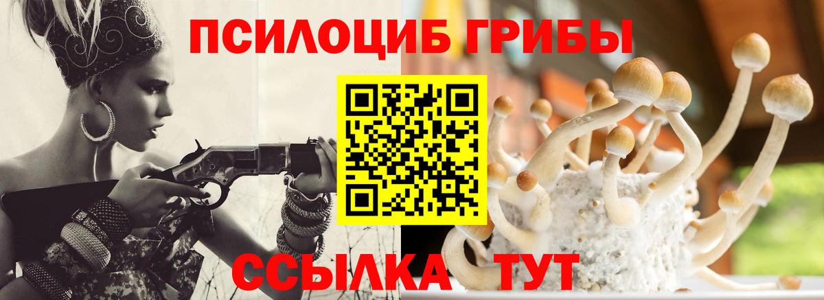 Галлюциногенные грибы мицелий Томск